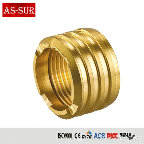 Brass Hose Insert PPR Pipe Fitting Brass Hose Insert PPR Pipe Fitting Supplier